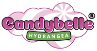 Candybelle®