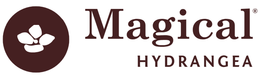 Magical® Hydrangea